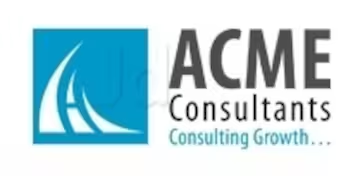 ACME Consultants