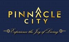 Pinnacle City
